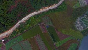 田間航拍（韶關）